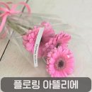 주아드비브르Flower | 도안동 무인꽃집 플로잉아뜰리에, 5천원 꽃다발 후기