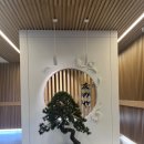 대천1 | [대천] 토모노야 료칸 1박 후기