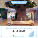 숲사랑홍보관 이미지