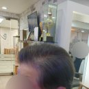 준호프로헤어 이미지