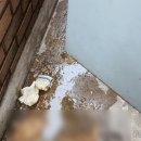 카페오수 이미지