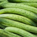 보라매동-30 이미지