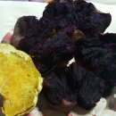 종숙농장 이미지