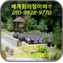 배계화의장이야기