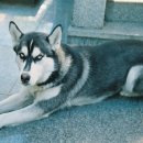 해운동016 이미지