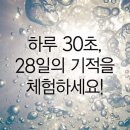 오일세