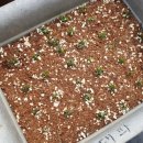 배씨농장 이미지