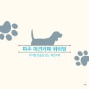 견생샷 건지고싶다면? 초대형 운동장 있는 &lt;파주 애견카페 뛰뛰멍&gt; 추천 ✨