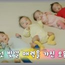 블럭천사 이미지