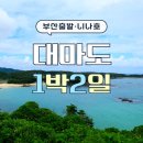 대마도 1박2일 여행 패키지 - 니나호 7월 출발(히타카츠IN-OUT)