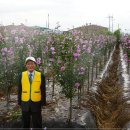 이동철농장 이미지