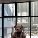 (주)신라외식개발 | 2025년 11월 - 강릉 신라 모노그램 호텔 | 프리미어 디럭스 더블