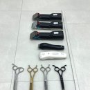 부산고양이미용&호텔 무냥무냥 대연점 | [부산고양이미용]부산고양이미용&amp;호텔 무냥무냥 대연점 추천