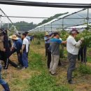 달콤한거짓말 이미지