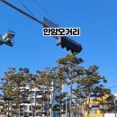 다이소 경동시장점 네이버블로그