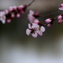 꽃잠 - 논산시 중앙로210번길 10 | 꽃잠