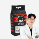 캣 팰리스 이미지