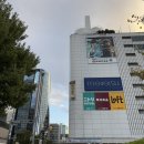 [2024 나고야 여행] 일본 나고야 근교 겨울 가볼만한 곳 추천 미에현 나가시마 리조트 나바나노사토...