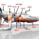 영대 복싱 체육관 이미지