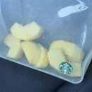 슛돌이치킨피자 | 12월 5th 일상 기록 (25.12.29~26.01.04)