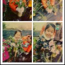 선경농장 이미지