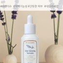 피누스스토어대전남산
