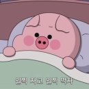 베드로내과의원 이미지