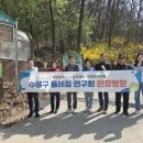 앞산자락길 이미지