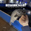용인실내바다낚시터 | 용인실내바다낚시터 손맛보기 좋았던 이색 데이트 장소 추천