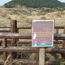 성읍리-6 이미지