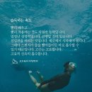 화갤러리 이미지
