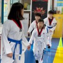 동탄MTA태권도장 이미지