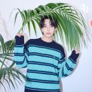 라비 이미지
