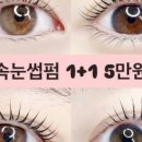 디어브로우 이미지