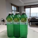 2021 상반기 하드털기.jpg