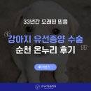 순천하나병원 | 순천 동물병원 강아지 유선종양 수술 후기