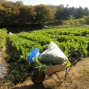 정열농장 이미지