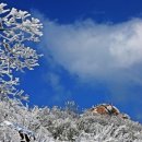 조은사람 이미지