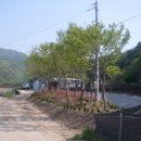 정수성농장 이미지