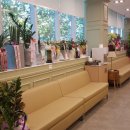 유한마취통증의학과의원 이미지