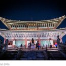 경복궁 티스토리