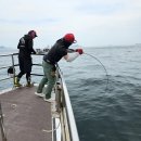 대야도항 이미지