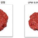 가비소프트 이미지