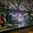 광교산 양서류 보호활동 2 이미지