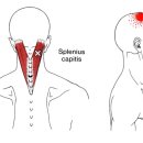 오륙도신경외과의원 이미지