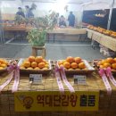 진영농원 이미지