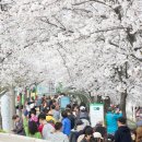 불광천6 이미지