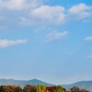 안녕댕댕쓰 이미지