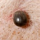 서산동물병원 이미지