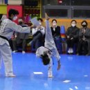 국가대표 한빛태권도 이미지